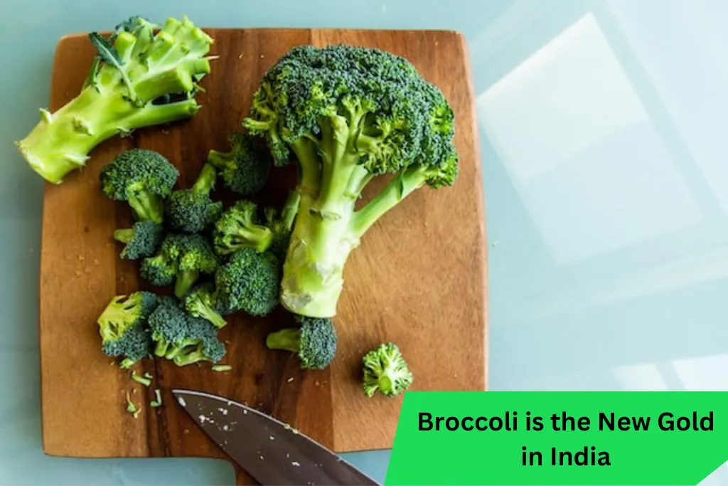 Broccoli is the New Gold in India