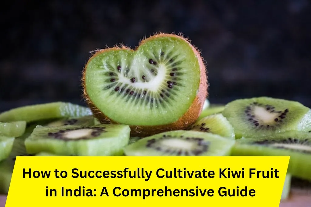 How to Successfully Cultivate Kiwi Fruit in India A Comprehensive Guide