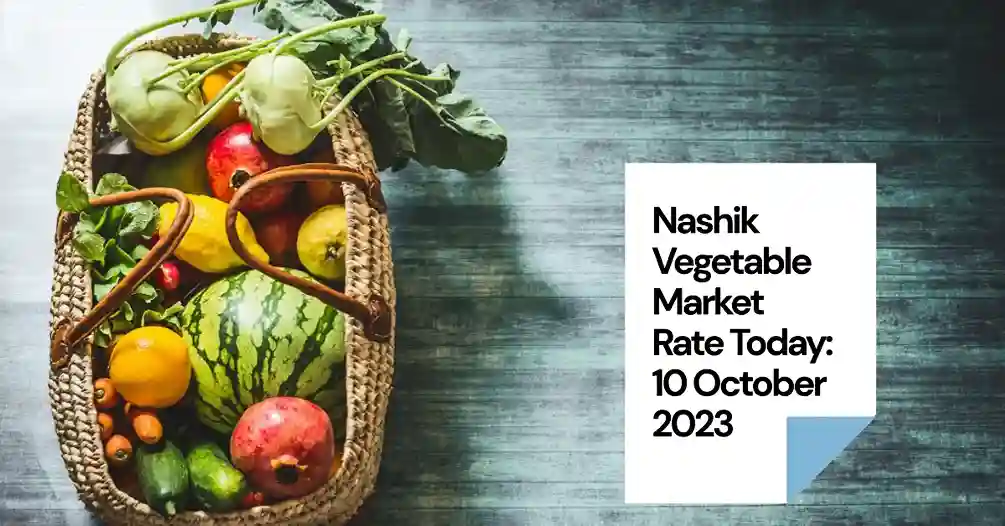 Nashik Vegetable Market Rate Today: 10 October 2023