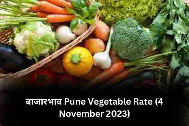 Pune Vegetable Rate (4 November 2023)