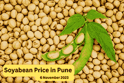 Soybean Price