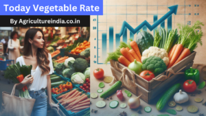 Vegetable Rate Today